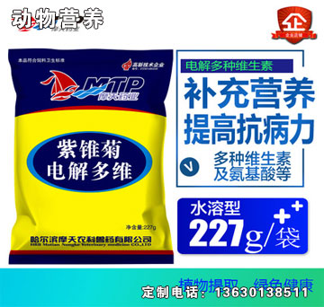 紫錐菊電解多維.jpg