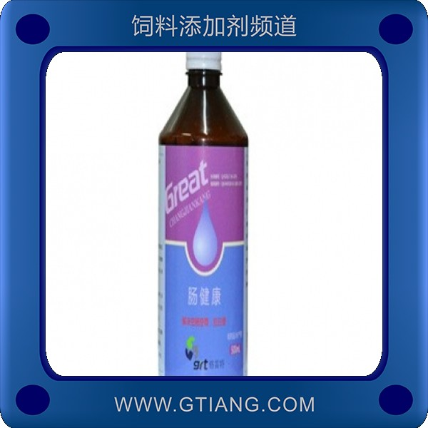 腸健康.png