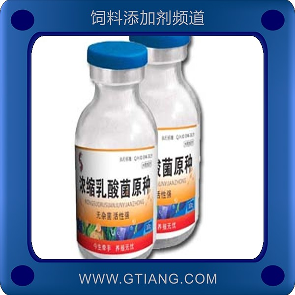 賽美騰濃縮乳酸菌原種 外用調(diào)節(jié)水質(zhì)內(nèi)服調(diào)節(jié)水產(chǎn)動物腸道菌群